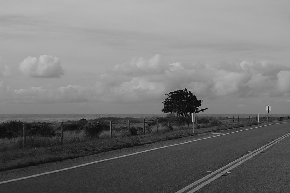 Black and white landscape photo of a single tree on the side of the highway. The sky is slightly overcast but has lots of fluffy clouds.