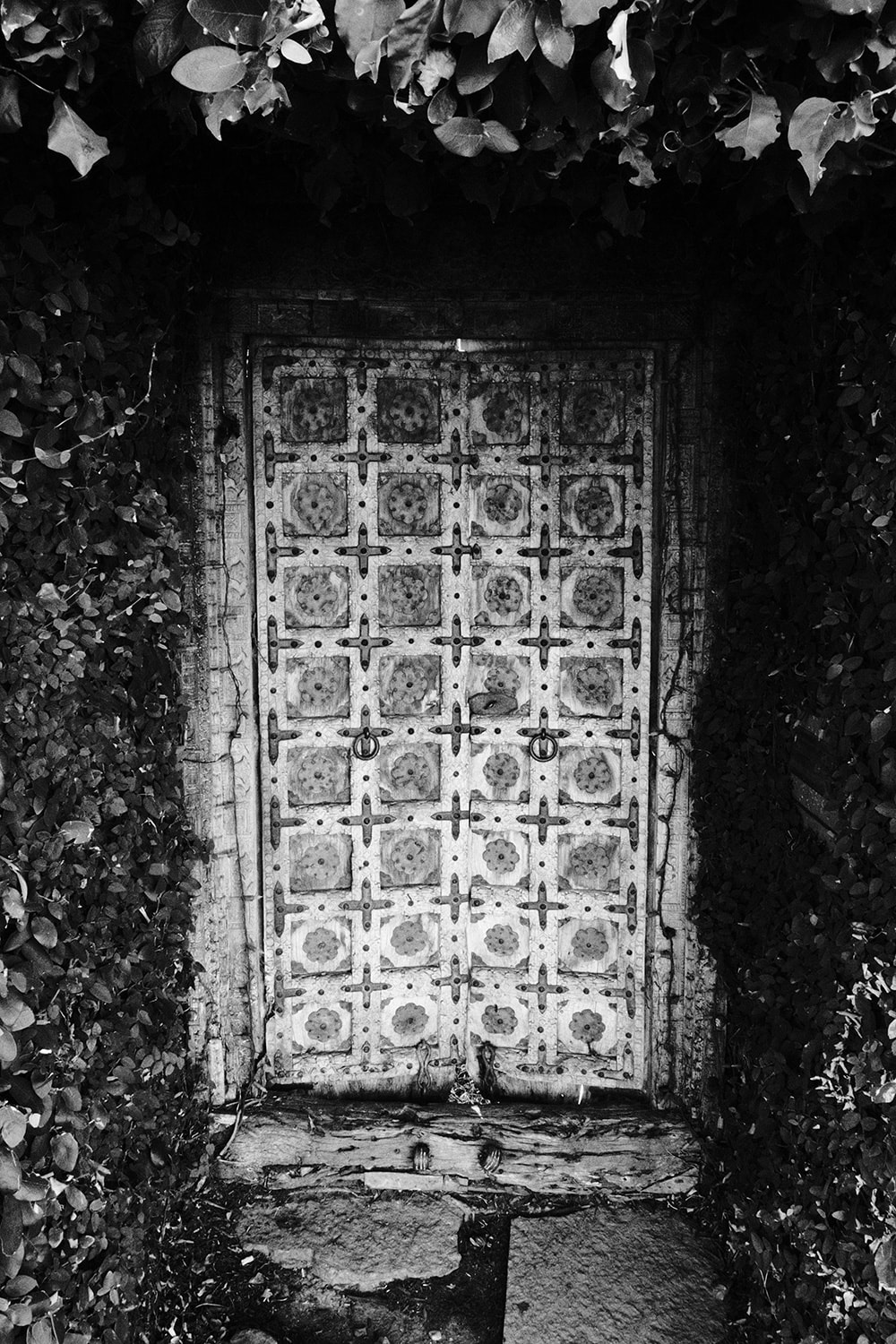 Black and white portrait photo of a door to a house in the Venice canals. The door is really old and weathered and is make of wooden squares and iron. The door is recessed from the street and is covered in ivy.
