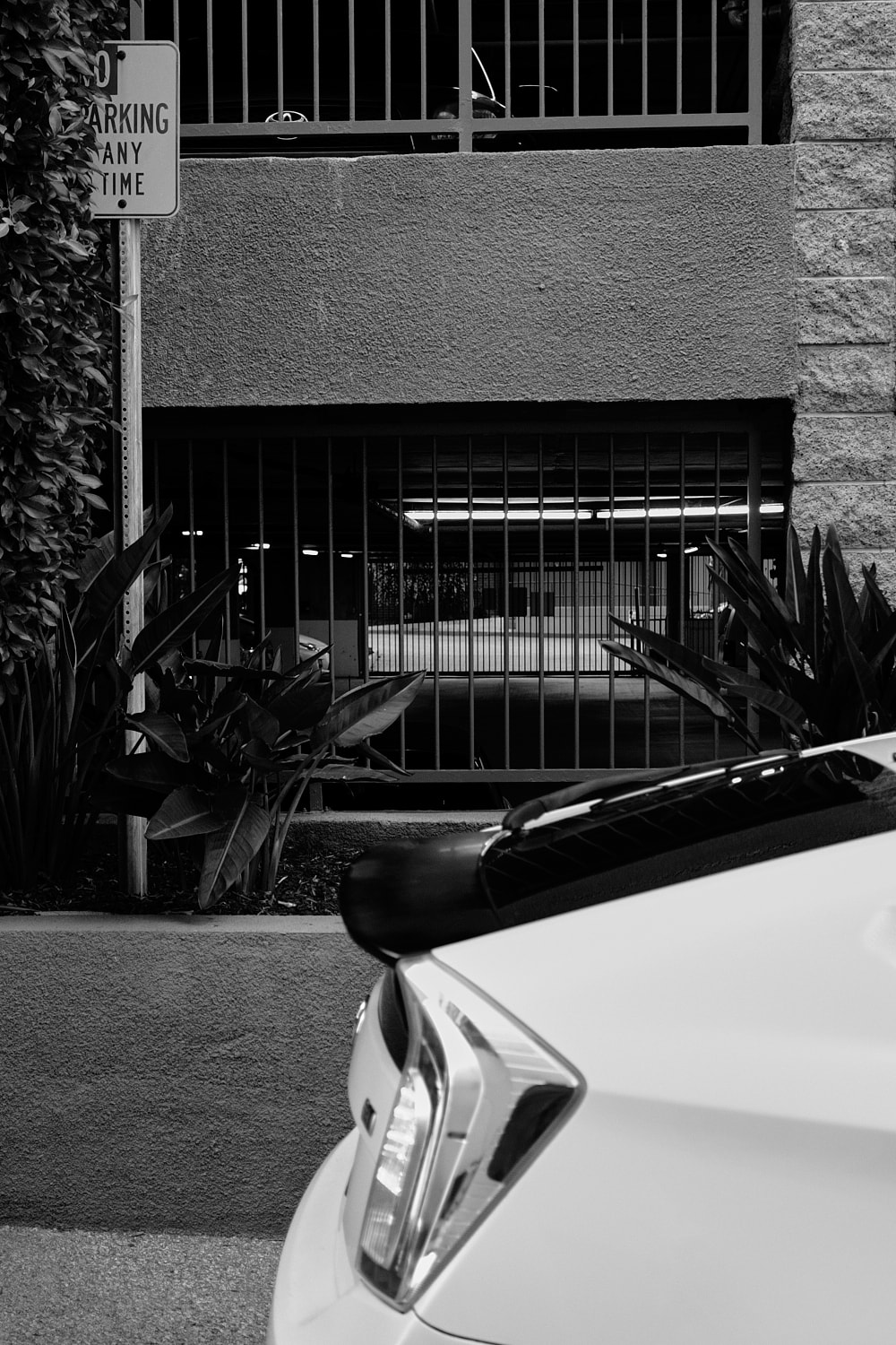 Black and white portrait photo of the tail end of a white Toyoto Prius parked next to a No Parking at Anytime sign.