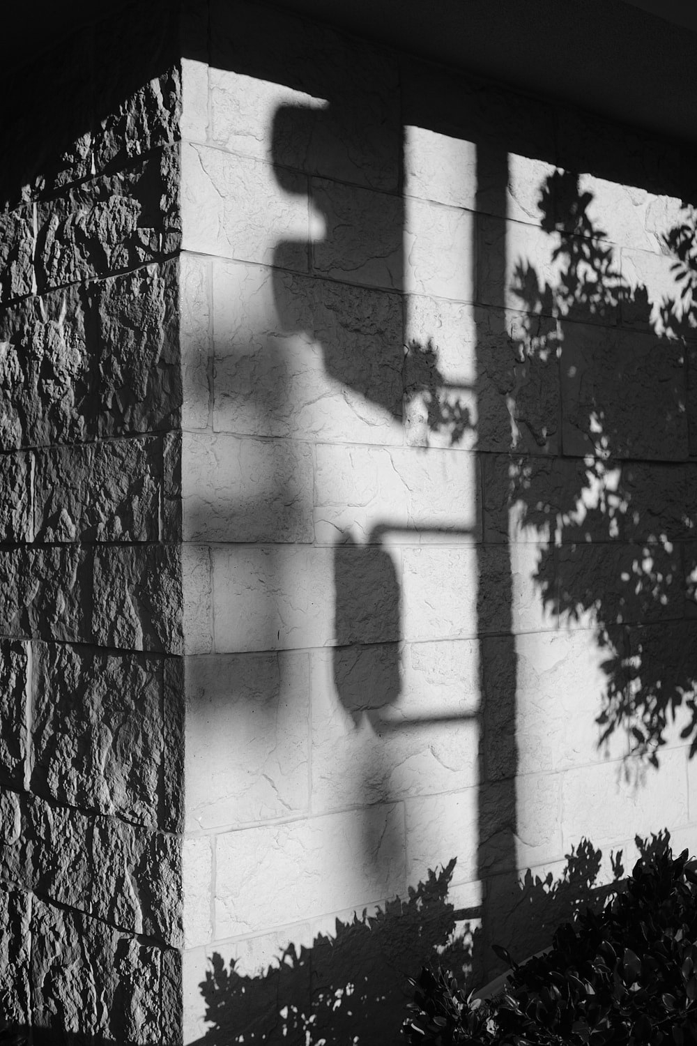 Black and white portrait photo of the shadow of a street light hitting the side of a apartment building.