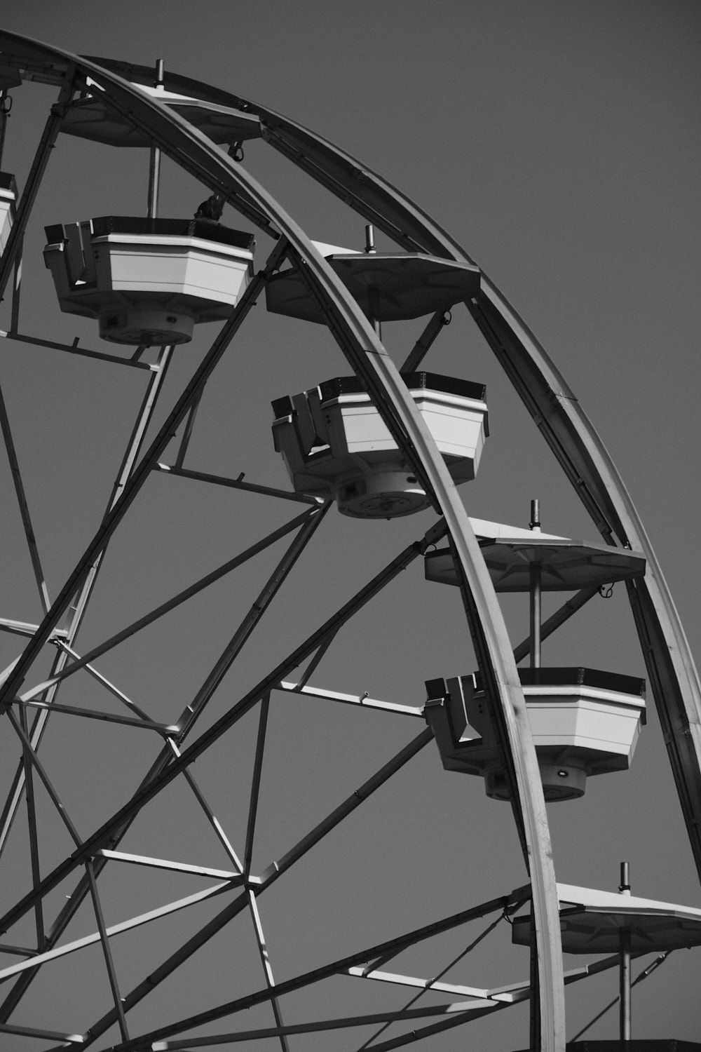 Black and white portrait photo of a .